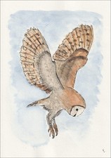 Original Watercolour And Ink