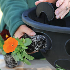 T&M BloomAround Hanging Baskets Flower Plant Displays 30cm or 35cm With Chains