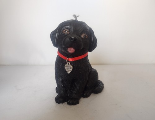 Cute little black labrador - little,