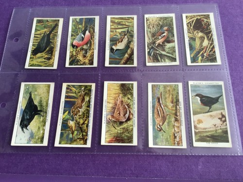 Wild birds full set 50 - a,