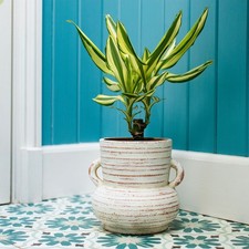 Rustic Terracotta
