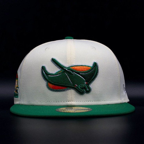 Tampa bay devil rays - tampa,