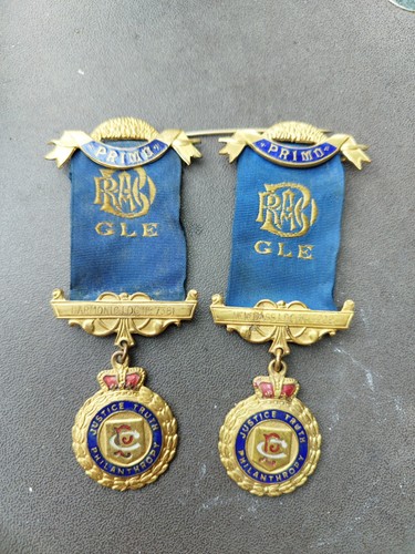 Pair raob buffaloes - /,