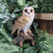 Barn Owl Real Life Ornament by