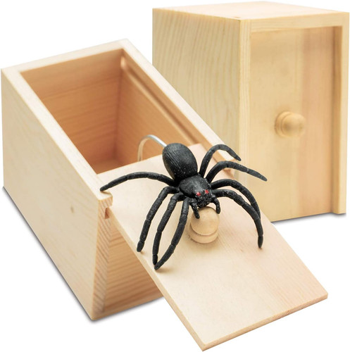 Fake spider box - spider,