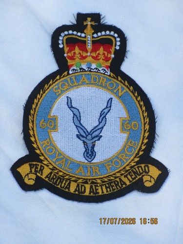 Raf squadron royal air - 60,
