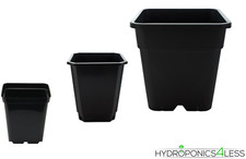 Square Black Plant Pots Soil