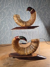 Pair Of Horns Painted To Look
