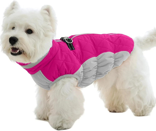 Small dog puppy waterproof - puppy,