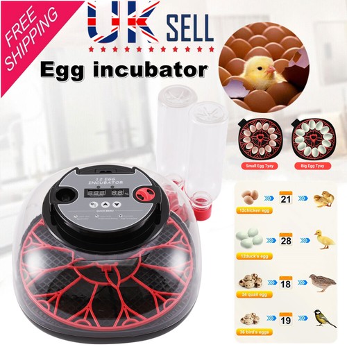 Digital egg incubator - digital,