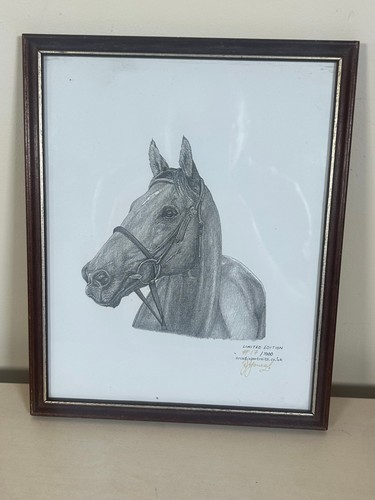 Arcadia portraits framed - framed, horse
