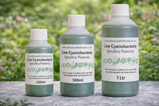 500ml - Live Spirulina Culture