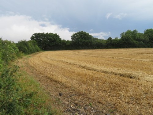 Photo 6x4 east - photo, field