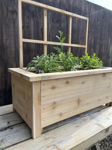 Cedar raised planter with - raised,