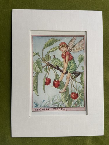 Cherry tree flower fairy - ‘cherry, tree’