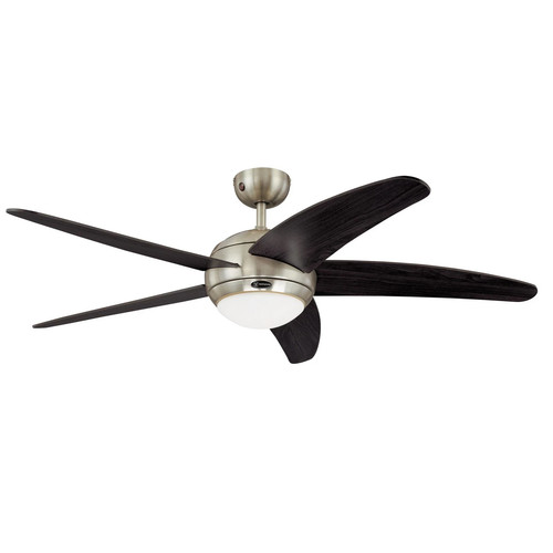 Westinghouse bendan ceiling - westinghouse,