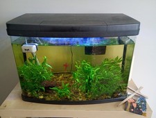 Panorama Love Fish 64L Tank