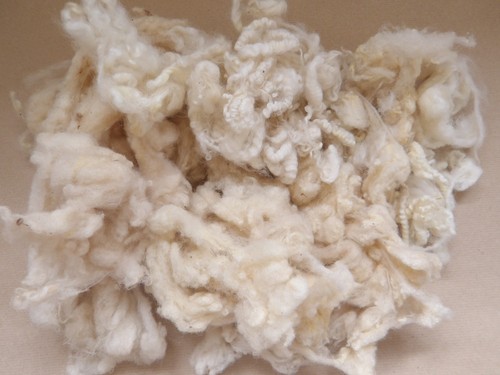 Raw shetland fleece 112g - fleece, white