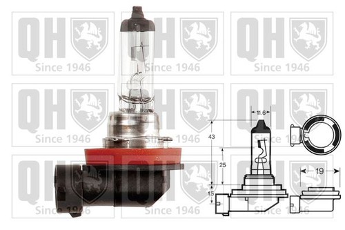 Front spotlight bulb - spotlight,