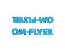 SE Racing OM Flyer frame