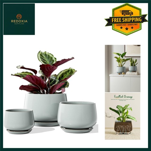 Elegant reactive glaze ceramic - reactive,