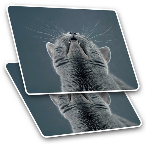 Rectangle stickers cm - 10,