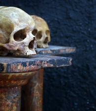 Pair of Rare Decorative Faux