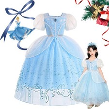 Cinderella Princess Costume