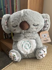 Evora Relief Cuddlie Koala