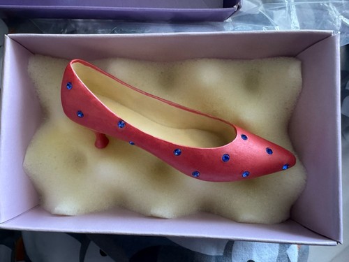 The shoes fits - the, leonardo
