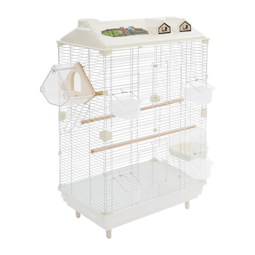 Tier british style parrot - style,
