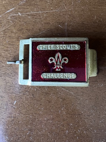 Boy scout 1990 - uk, chief
