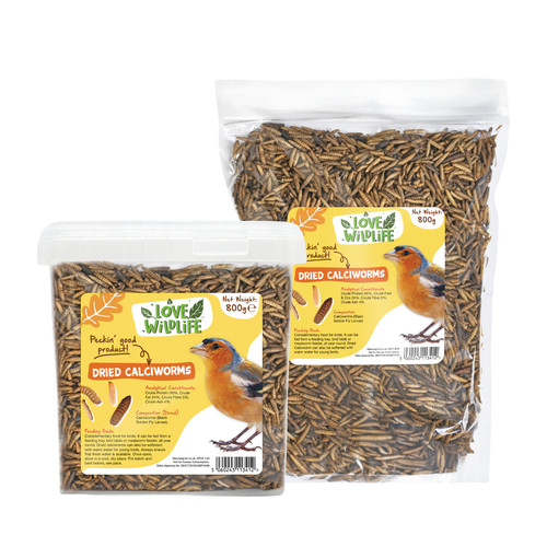 Love wildlife dried calciworms - love,