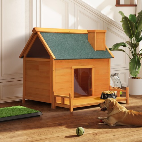 Indoor outdoor dog - indoor,