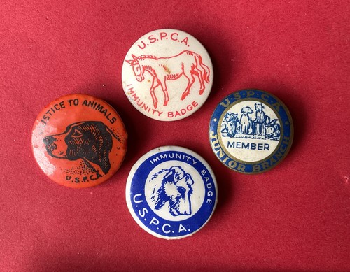 Vintage uspca immunity ulster - immunity,