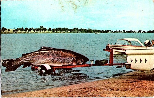 Vintage funny giant fish - giant,
