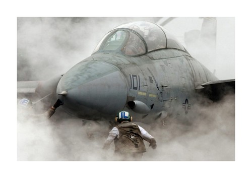 F14 tomcat carrier - tomcat, on