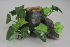 Small Detailed Vivarium Root &