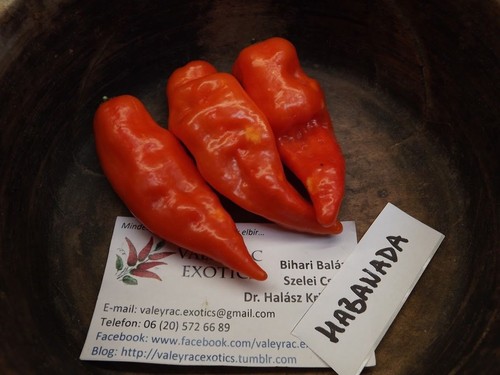 Habanada sweet chili - sweet,