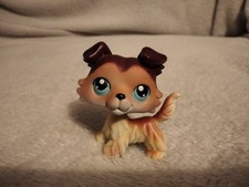 Littlest pet shop lps authentic collie Sage bond #58 paw down authentic rare