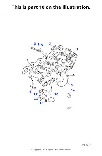 10x jaguar genuine stud - 10x, fits