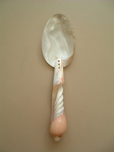 Vintage shell serving spoon - vintage,