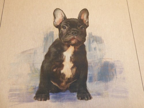French bulldog linen look - french,