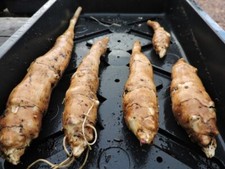 Jerusalem Artichoke Chinese -