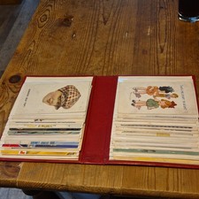 Album VINTAGE  POSTCARDS, comic humour seaside humour 