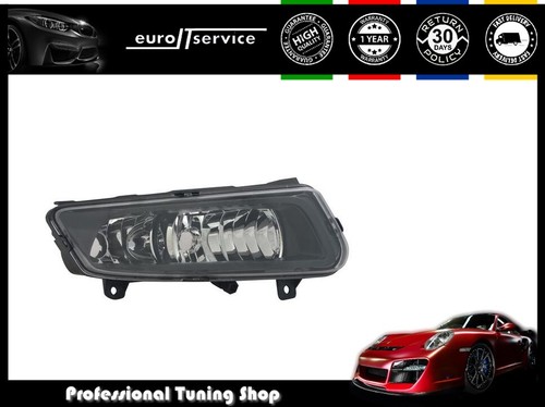Halogen fog light - light, right