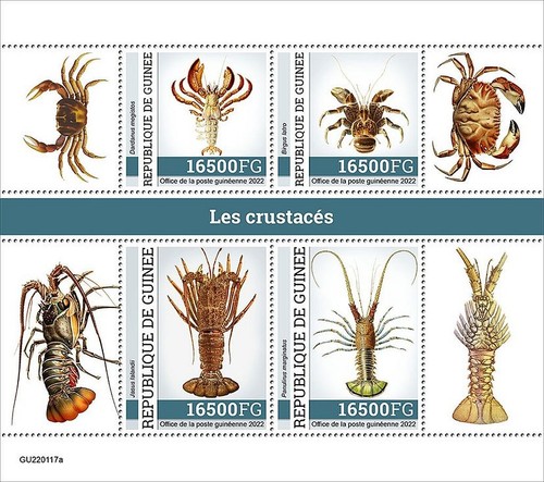 Crabs crustaceans sea marine - crabs, &