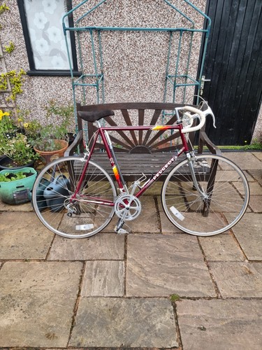 Vintage peugeot ventoux ph501 - peugeot,