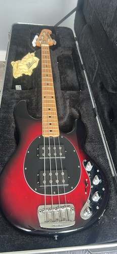 Ernie ball music - man, stingray