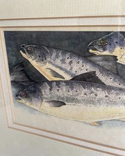 Signed Framed Fish Print Art